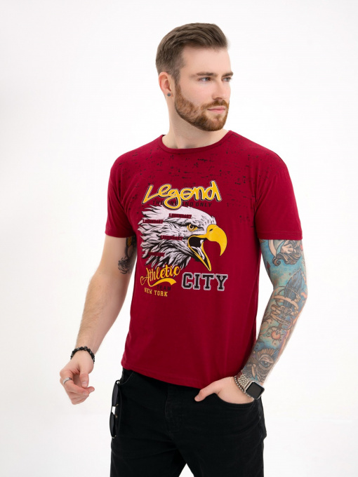 Футболка ISSA Plus модель GN4-110_burgundy Фото