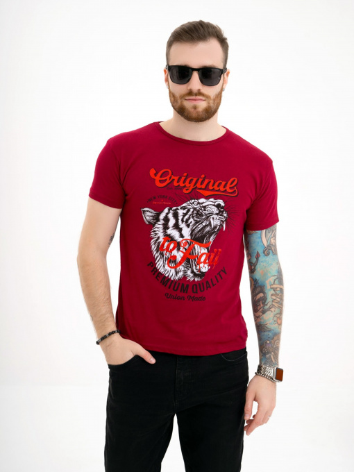 Футболка ISSA Plus модель GN4-111_burgundy Фото