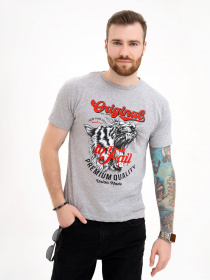 Футболка ISSA Plus модель GN4-111_grey Футболка ISSA Plus модель GN4-111_grey Фото