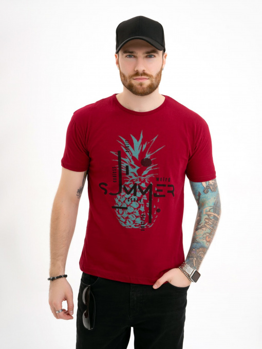 Футболка ISSA Plus модель GN4-112_burgundy Фото