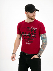 Футболка ISSA Plus модель GN4-118_burgundy Фото