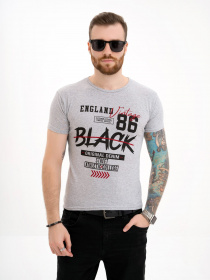 Футболка ISSA Plus модель GN4-118_grey Фото