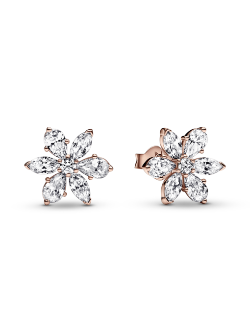 Серьги-гвоздики PANDORA Moments модель 282407C01 Фото