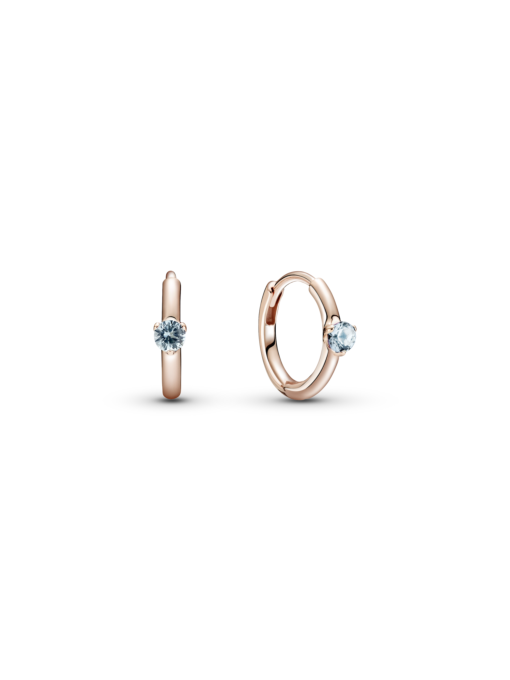 Серьги-подвески PANDORA Moments модель 289304C02 Фото