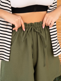 Повседневные шорты ISSA Plus модель 13985_khaki Повседневные шорты ISSA Plus модель 13985_khaki Фото