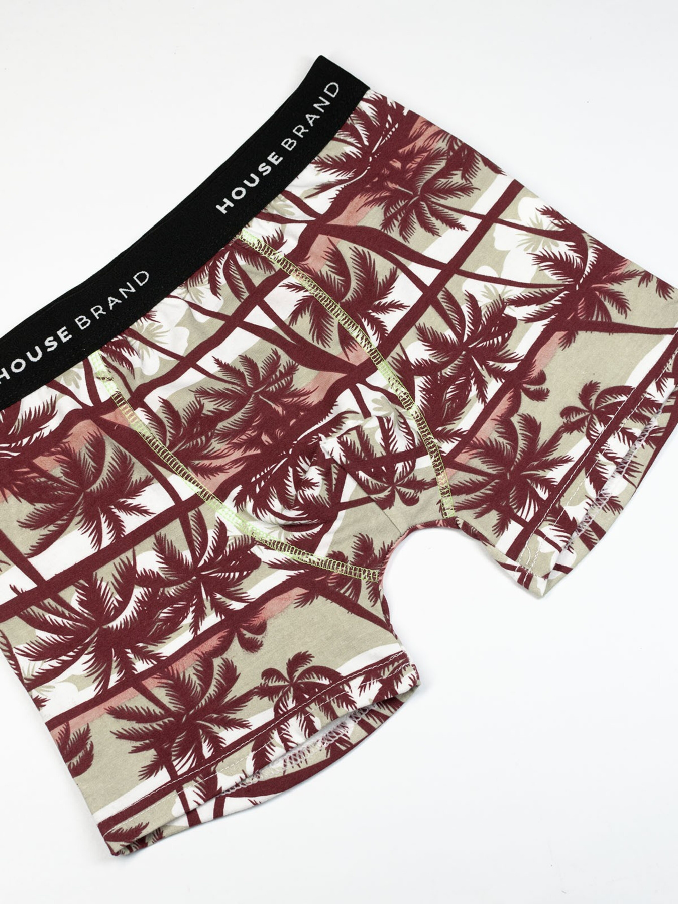 Труси ISSA Plus модель GN5-186_brown Фото