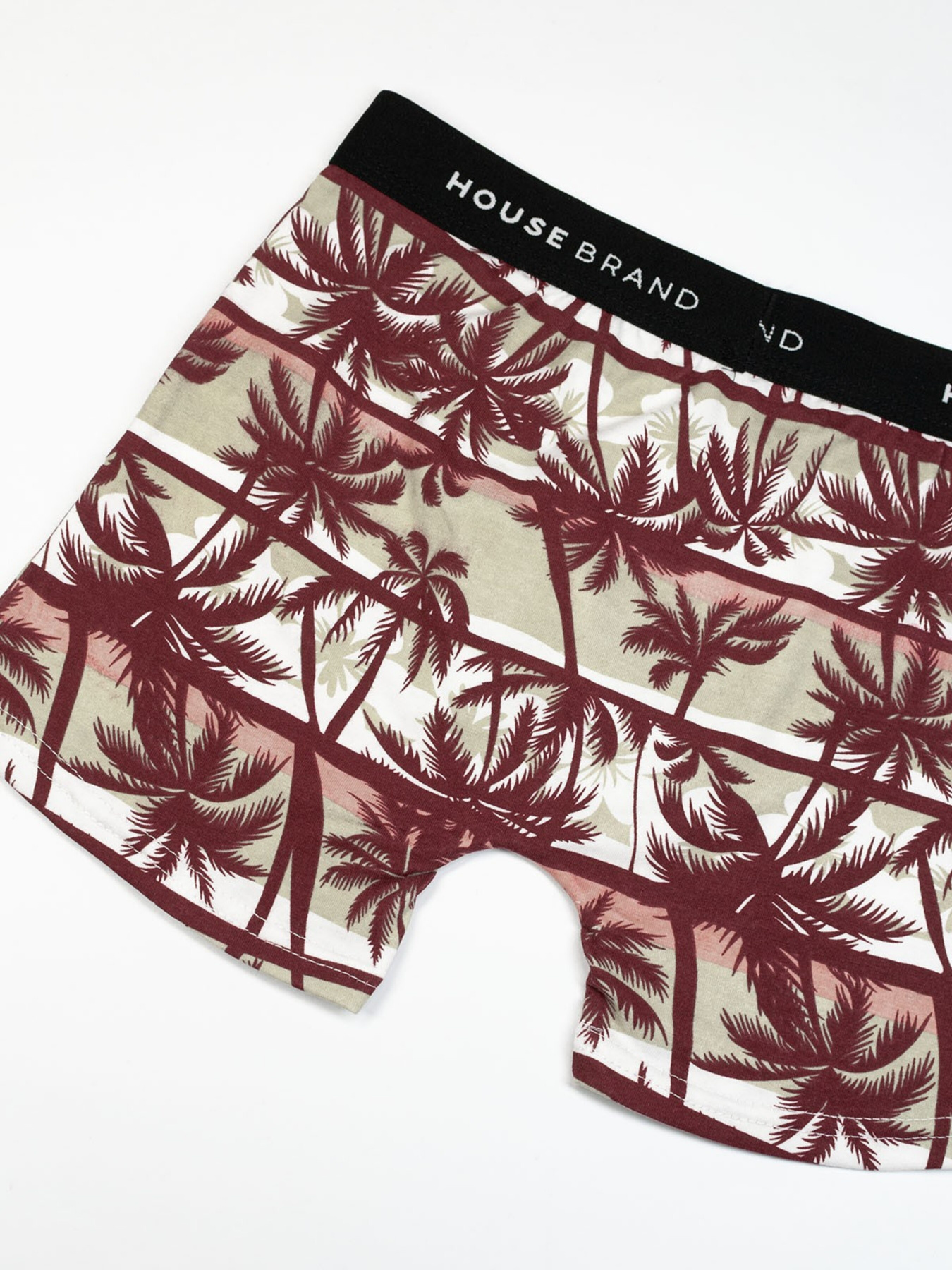 Трусы ISSA Plus модель GN5-186_brown Фото