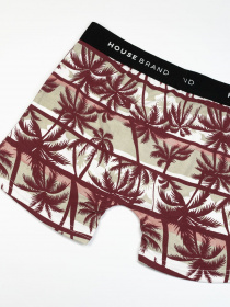 Трусы ISSA Plus модель GN5-186_brown Фото