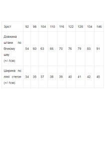 Джоггеры Носи своє модель 6060-025-elektrik Фото