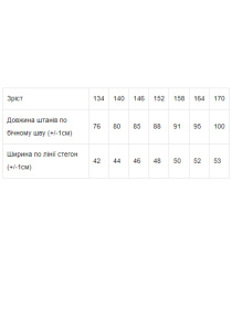 Штани спортивні Носи своє модель 6232-057-srij Фото