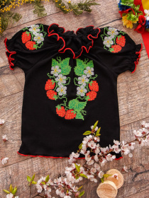 Вишита сорочка Носи своє Модель 9722-015-22-sunic-bl-kvti Фото