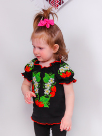 Вишита сорочка Носи своє Модель 9722-015-22-sunic-bl-kvti Фото