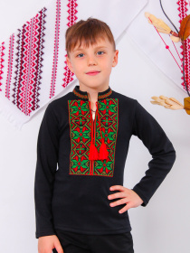 Вышитая рубашка Носи своє модель 9943-015-22V-chervonij Фото