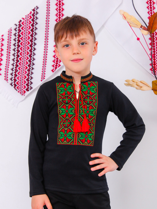 Вышитая рубашка Носи своє модель 9943-015-22V-chervonij Фото