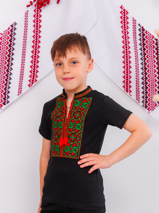 Вишита сорочка Носи своє Модель 9942-015-22-chervonij Фото