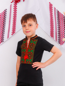 Вышитая рубашка Носи своє модель 9942-015-22-chervonij Фото