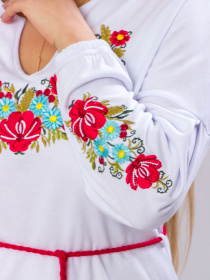 Вишита сорочка Носи своє модель 8030-038-22-kvti Фото