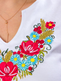 Вишита сорочка Носи своє модель 8030-038-22-kvti Фото