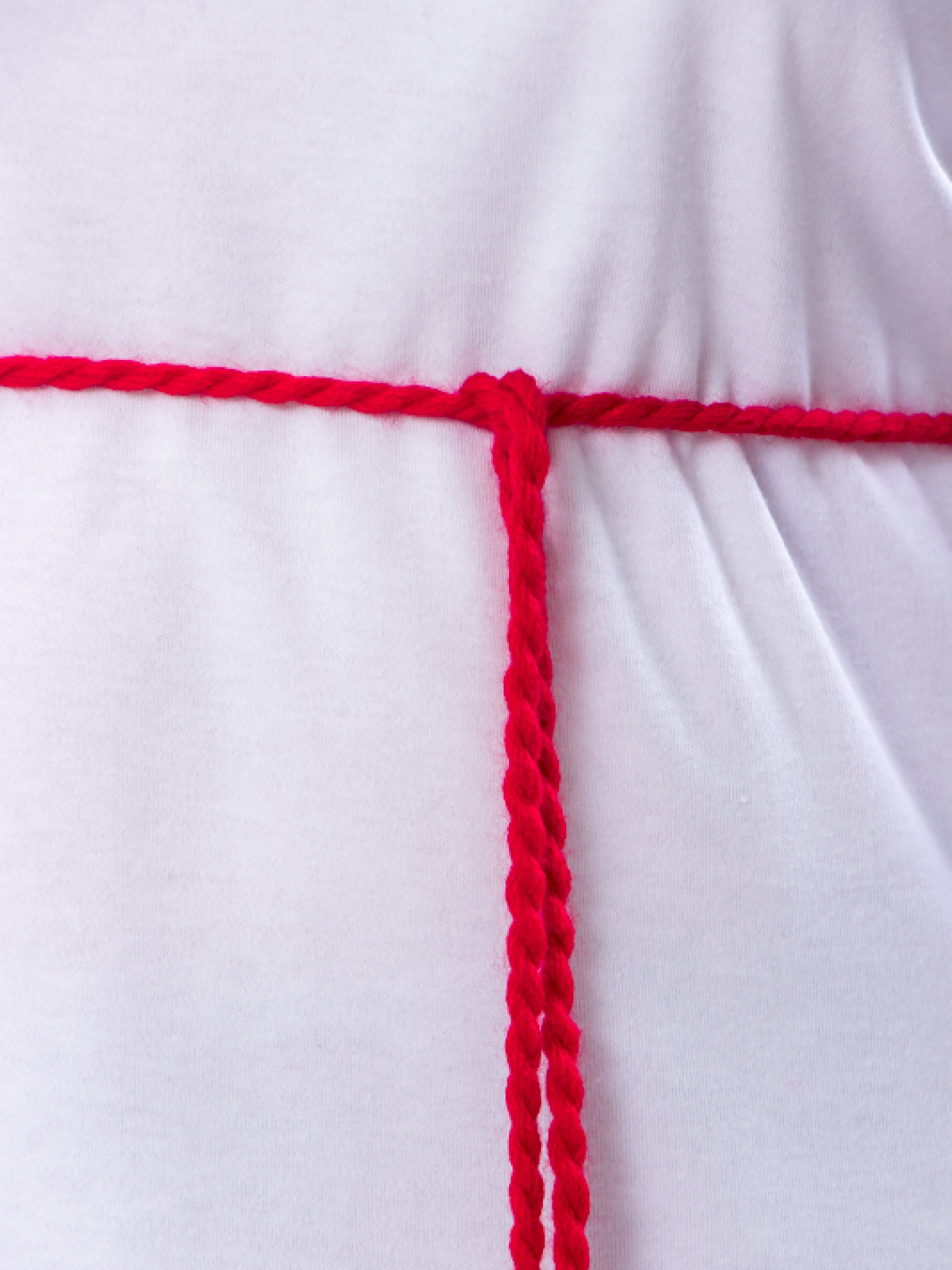 Вишита сорочка Носи своє Модель 8030-038-22-maki Фото