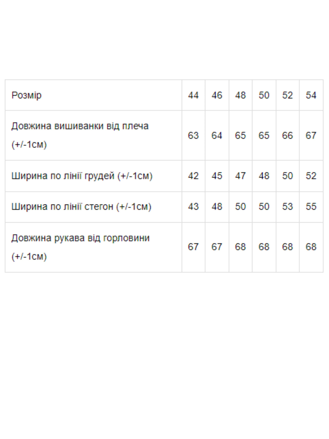 Вишита сорочка Носи своє Модель 8607-015-22-blakitnij Фото