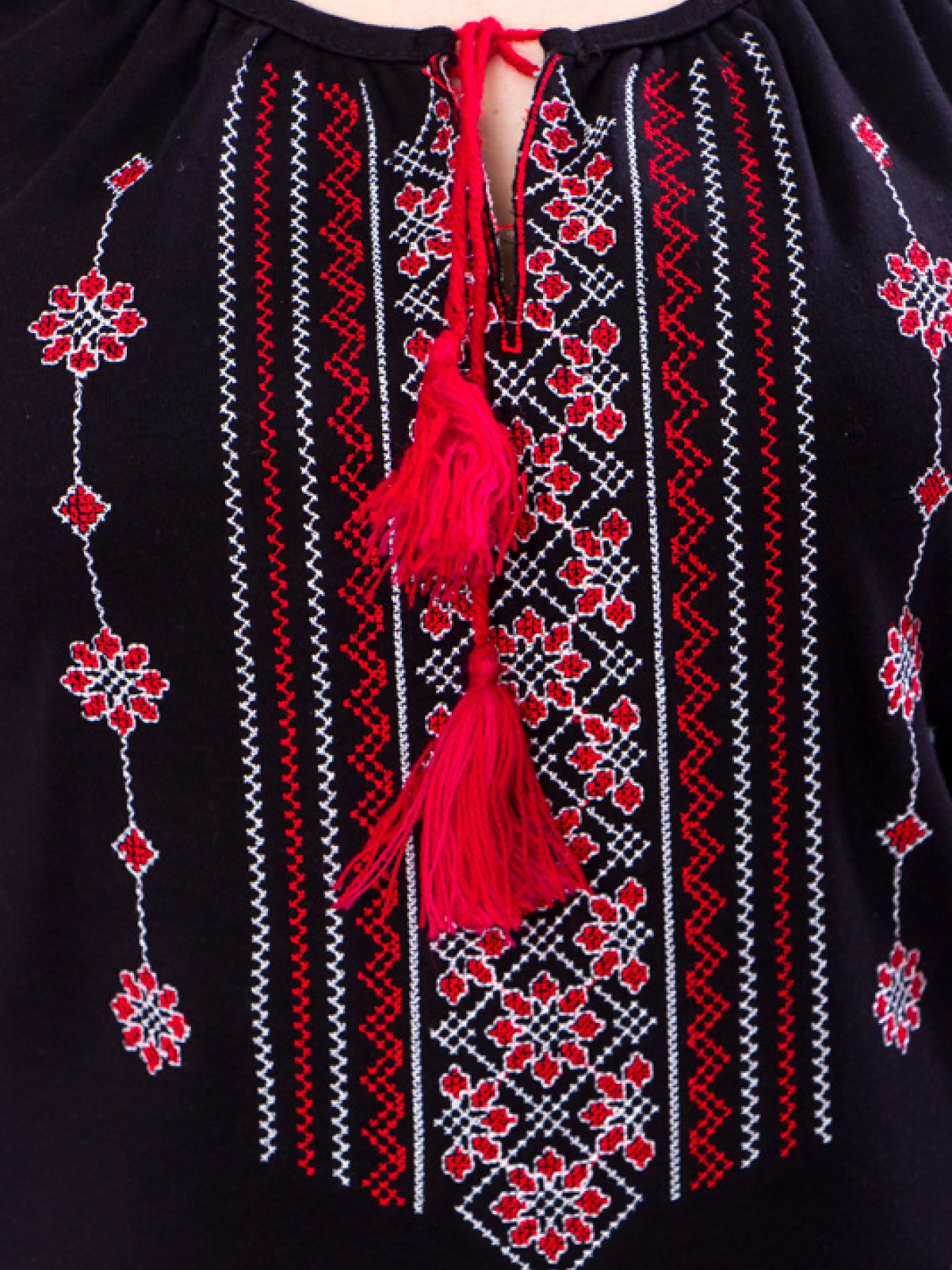 Вишита сорочка Носи своє Модель 8607-015-22-chervonij Фото