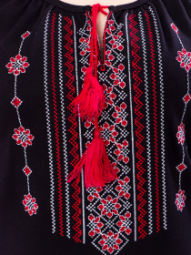 Вишита сорочка Носи своє Модель 8607-015-22-chervonij Фото