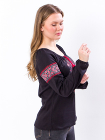 Вышитая рубашка Носи своє модель 8607-015-22-chervonij Фото