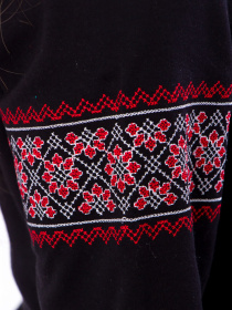 Вышитая рубашка Носи своє модель 8607-015-22-chervonij Фото