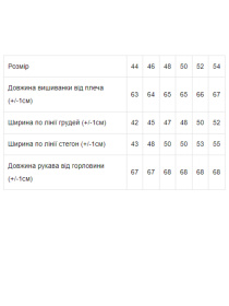 Вишита сорочка Носи своє Модель 8607-015-22-troqndi-romashki Фото