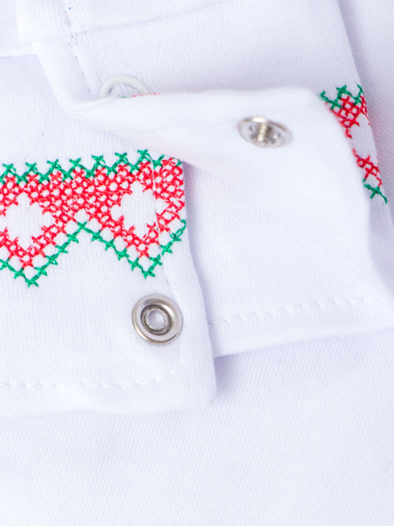 Вышитая рубашка Носи своє модель 8605-038-22-chervonij-zelenij Фото