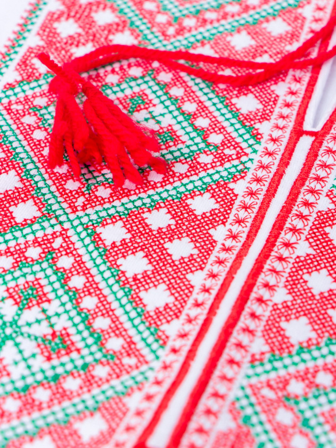 Вишита сорочка Носи своє модель 8605-038-22-chervonij-zelenij Фото