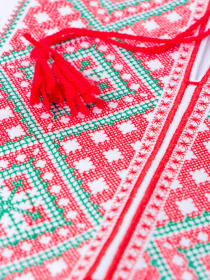 Вишита сорочка Носи своє модель 8605-038-22-chervonij-zelenij Фото