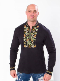 Вишита сорочка Носи своє модель 8605-015-22-olivka-korichnevij Фото