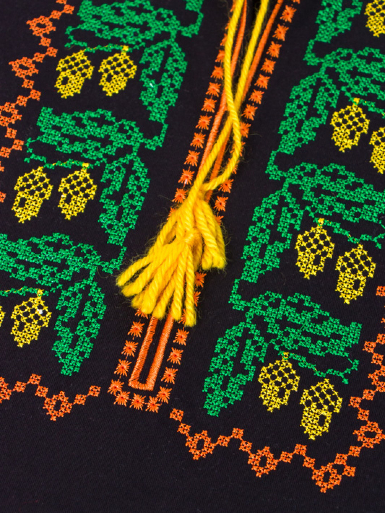 Вишита сорочка Носи своє Модель 8606-015-22-pomaranchevij Фото