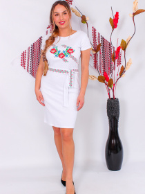 Вишита сорочка Носи своє Модель 8618-038-22-blij Фото