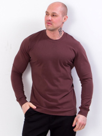 Джемпер Носи своє модель 8631-036-korichnevij Фото