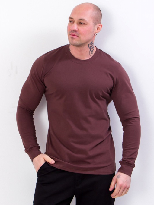 Джемпер Носи своє модель 8631-036-korichnevij Фото