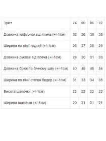 Костюм Носи своє модель 5064-5-tigr Фото