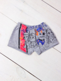 Труси Носи своє модель 9706-036-33-srij-shtenqchij-patrulx Фото