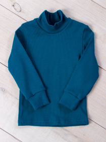 Водолазка Носи своє модель 6068-019-malahtovij Водолазка Носи своє модель 6068-019-malahtovij Фото