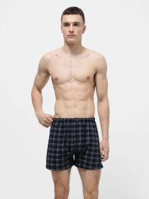 Трусы Chikiss модель CMB200-07 Фото