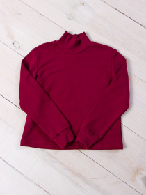 Водолазка Носи своє модель 6236-023-1-bordovij Фото