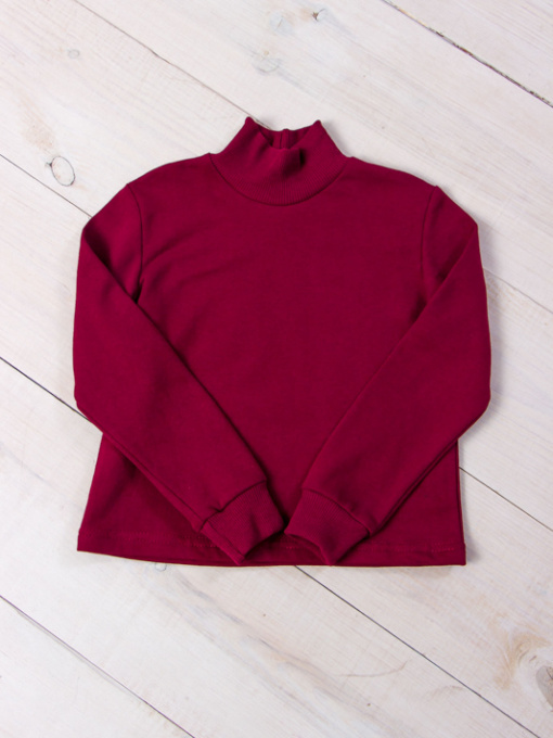 Водолазка Носи своє модель 6236-023-1-bordovij Фото