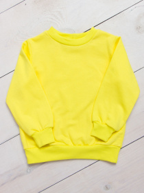 Свитшот Носи своє модель 6069-023-5-limon Фото