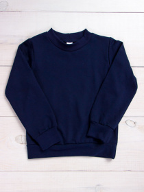 Свитшот Носи своє модель 6069-023-5-chornilxno-sinj Фото