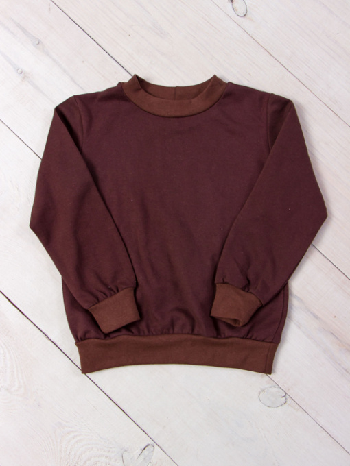 Свитшот Носи своє модель 6069-023-4-korichnevij Фото