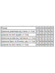 Спортивний костюм Носи своє модель 8146-093-hak Фото