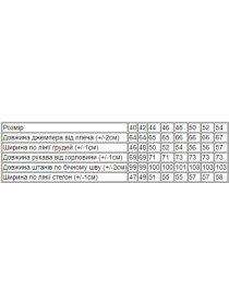 Повседневный костюм Носи своє модель 8234-057-33-molochnij Фото