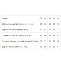 Спортивный костюм Носи своє модель 8085-057-1-fuksq-korichnevij Фото