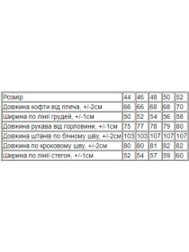 Спортивный костюм Носи своє модель 8092-057-33-srij-indigo Фото